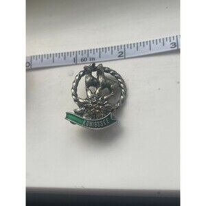 Vintage German Travel Metal Lapel / Hat Pin Konigssee Goats Edelweiss